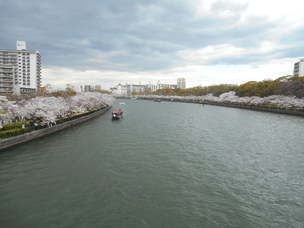 �єn���V�{����(2016.4����1�T)