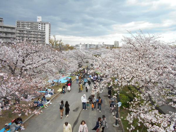 �єn���V�{����(2016.4����1�T)