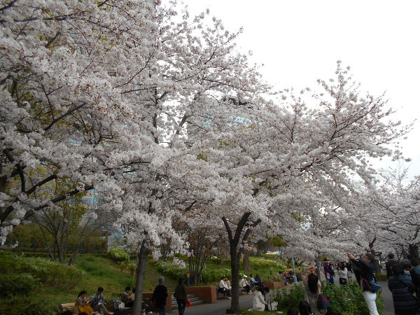 �єn���V�{����(2016.4����1�T)