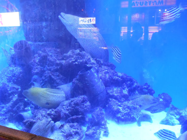 �����I�g���v���E�h��