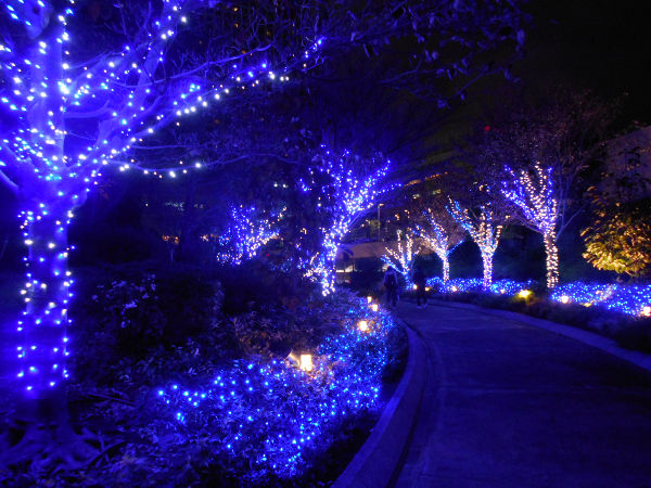 �Ȃ�΃p�[�N�X