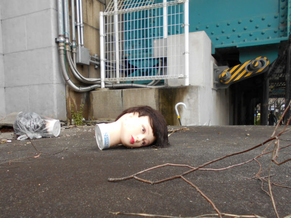 �}�l�L���l�`�̎�