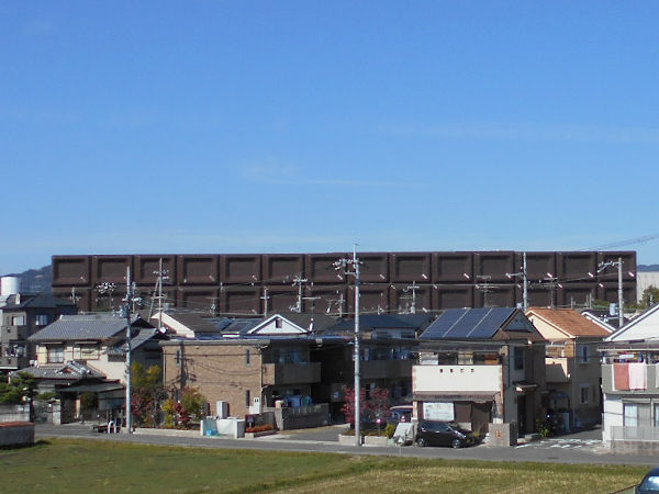 ���΂̃`���R