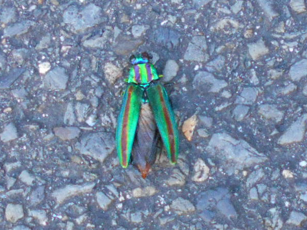 �_�X�������i