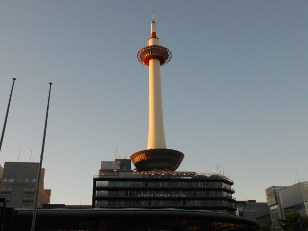 �_�X�������i