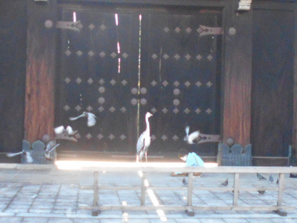 �_�X�������i