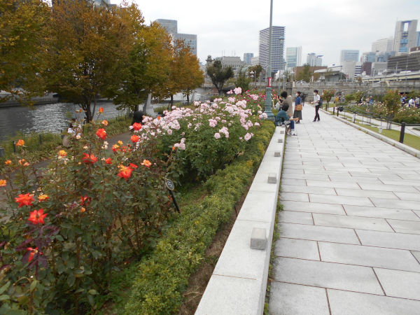 ���V���o����