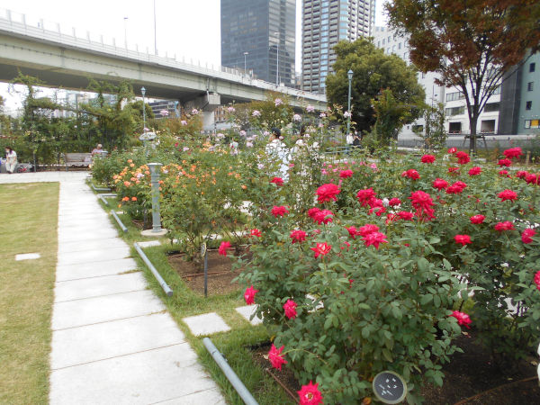 ���V���o����