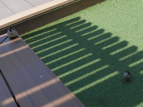 ���X�e�[�V�����V�e�B�̐�