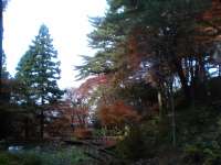 ���R�ώ@��11��