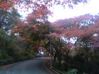 ���R�ώ@��11��