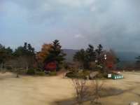 �d����11��