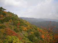 �d����11��