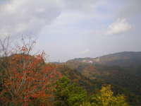 �d����11��