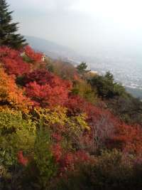 �d����11��