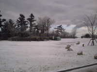 �d����12��