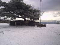 �d����12��