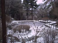 ���R�ώ@��12��