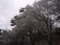 �d����12��