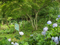 ���R�ώ@��7��