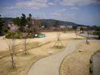 �d����4��