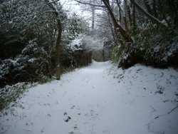 �T�E�X���[�h