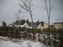 �Z�b�K�[�f���e���X