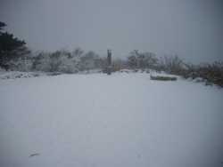 �Z�b�ō���