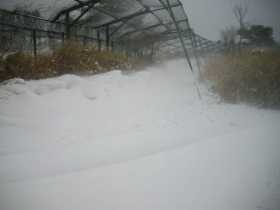 �_�˃S���t��y��