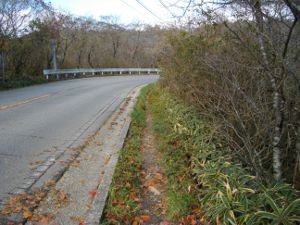 �h���C�u�E�F