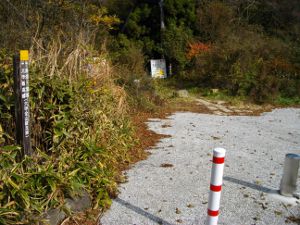 ���r������