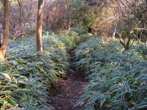 ���r������