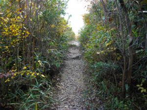 �W�]�X�|�b�g