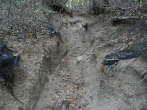 �R������