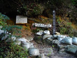 ���������W