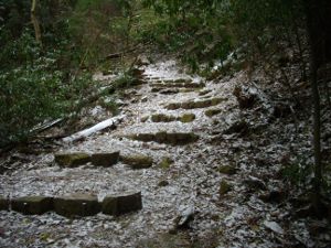 �~�̎��R��