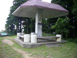 �V���o�[�|�C���g