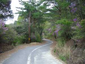 �m�s�s�̊Ǘ����H