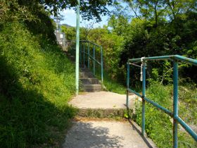 ���e���R�w