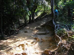 ��W�R���