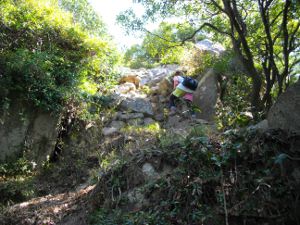 ��W�R���