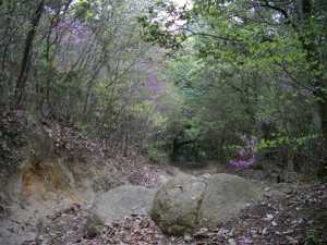 ��W�R����