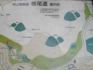 �������n�}