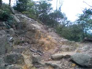 �郖�z ���