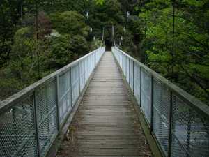 ��W�R�R����