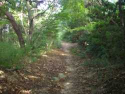 ���̉w���ʂւ̎R��