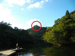 �V�F�[����