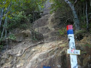 �V�F�[�����o���