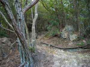 �V�F�[����