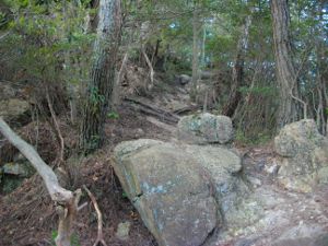 �V�F�[����